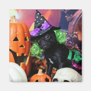 Halloween - Mops - Gänseblümchen Mae Magnet
