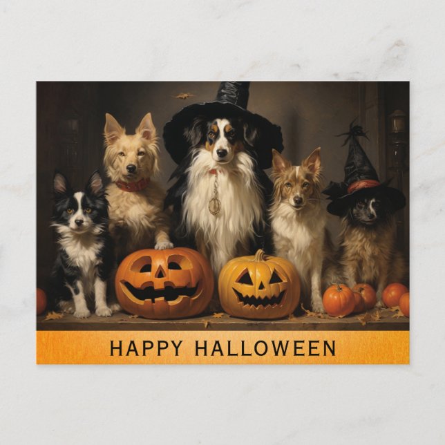 Halloween Niedlicher Hund Hexenkürbis Postkarte (Vorderseite)