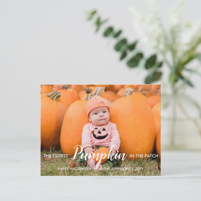 Halloween Niedlicher Kürbis Feiertagspostkarte (Stehend Vorderseite)