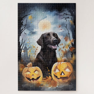 Halloween Nova Scotia mit Pumpkins Beängstigend