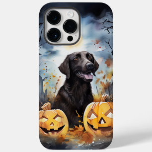 Halloween Nova Scotia mit Pumpkins Beängstigend Case-Mate iPhone 14 Pro Max Hülle