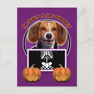 Halloween - Nur ein kleiner Spooky - Beagle Postkarte