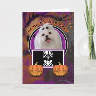Halloween - Nur ein kleiner Spooky - Maltesisch Karte