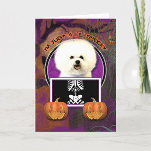 Halloween - nur eine kleine Spooky - Bichon Frise Karte