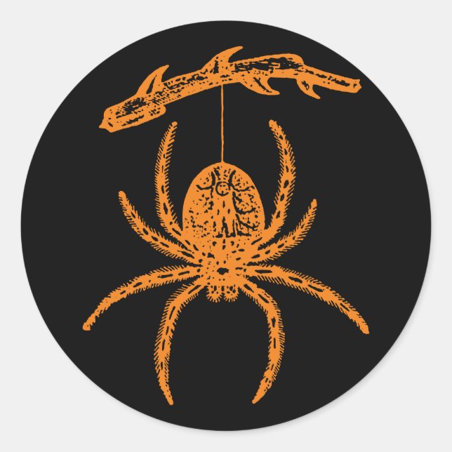 Halloween Orange Spider Classic Round Sticker (Vorderseite)