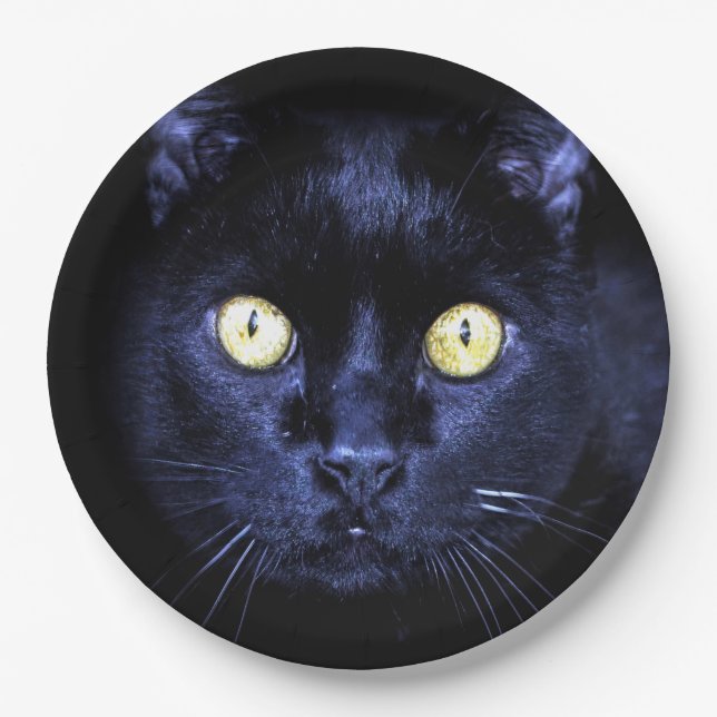 Halloween-Party Beängstigend Black Cat Horror Nigh Pappteller (Vorderseite)