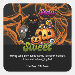 Halloween Pet in spukhaften Kostümen Quadratischer Aufkleber