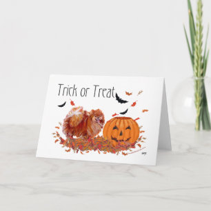 Halloween Pomeranian Karte