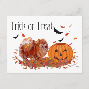 Halloween Pomeranian Postkarte