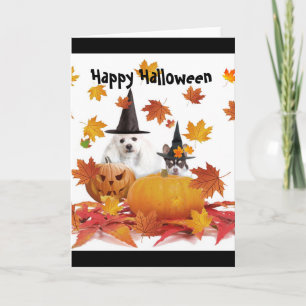 Halloween Poodle und Chihuahua-Hundekarte Karte