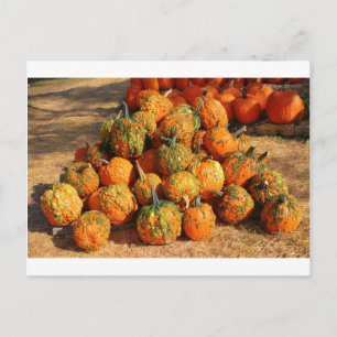 Halloween Postkarte