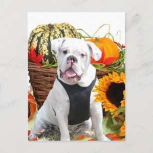 Halloween Postkarte