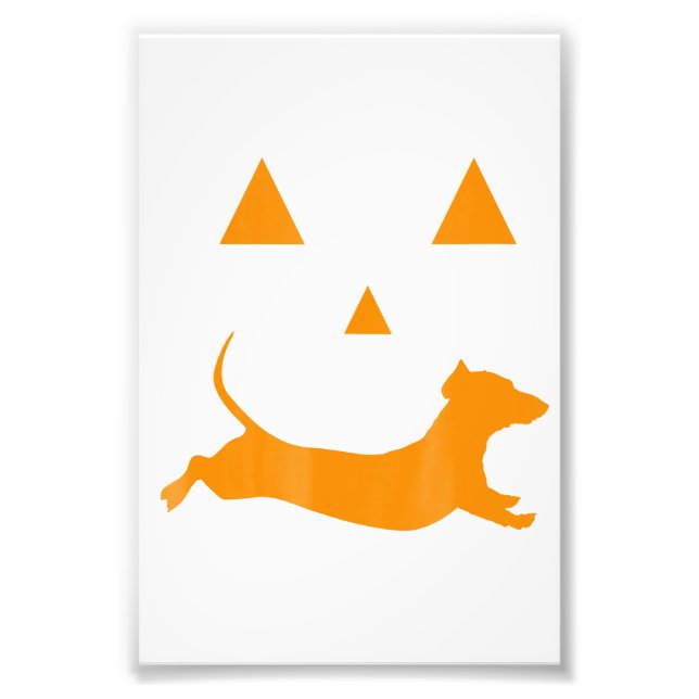 Halloween Pumpkin Dackel Jack-O-Lantern Costum Fotodruck (Vorne)