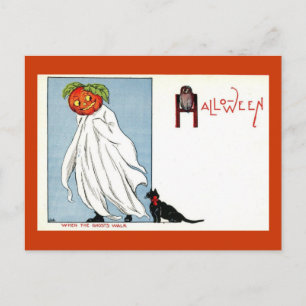 Halloween Pumpkin Ghost Black Cat Vintag Postkarte