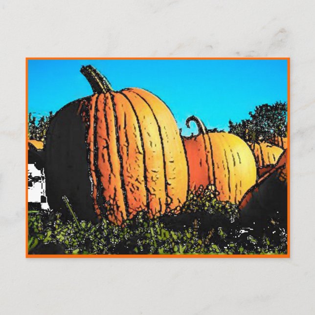Halloween Pumpkin Patch tagsüber Postkarte (Vorderseite)