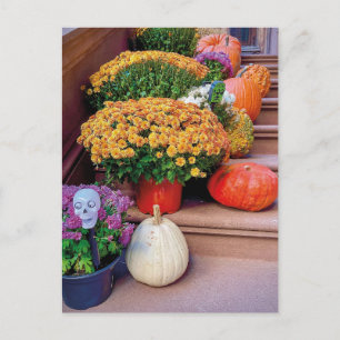 Halloween Pumpkin Treairs New York Postcard NYC Postkarte