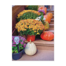 Halloween Pumpkin Treairs New York Postcard