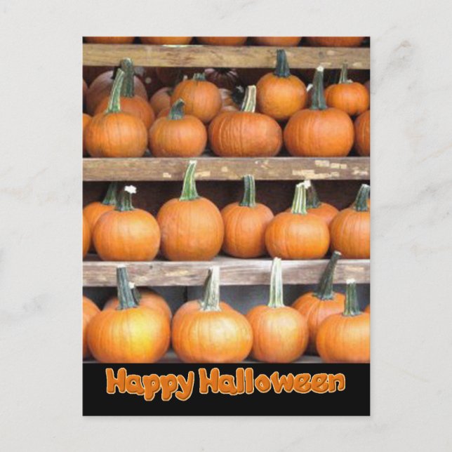 Halloween Pumpkin Wall Postkarte (Vorderseite)
