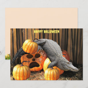 Halloween Pumpkins und Gator