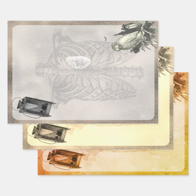 Halloween Rib Cage und Owl Vinatge Ephemera Geschenkpapier Set (Set)