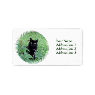 Halloween-Schwarze Katze auf dem Grasadressenlabel Adressaufkleber