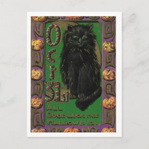 Halloween-Schwarze-Katze-Mäuse-Maus-Postkarte Postkarte