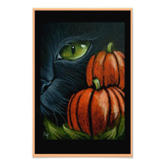 HALLOWEEN SCHWARZE KATZE mit PIMPKINS 4" X 6" DRUC Fotodruck