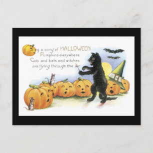 Halloween-Schwarze Katze und Kürbis Postkarte