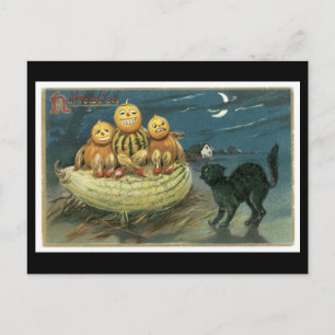 Halloween schwarze Katze und Kürbis Postkarte