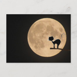 Halloween-Schwarzkatze mit Vollmond Postkarte