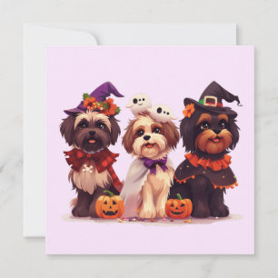 Halloween Shih Tzu Dogs Einladung