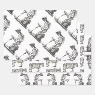 Halloween Skelett Sitting Anatomie Geschenkpapier Set