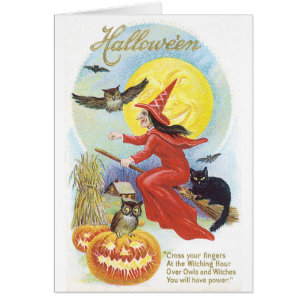 Halloween, sorcière et hibou