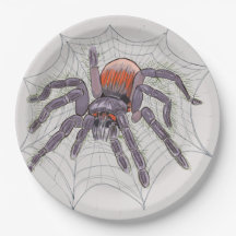 Halloween Spider Creepy Fun