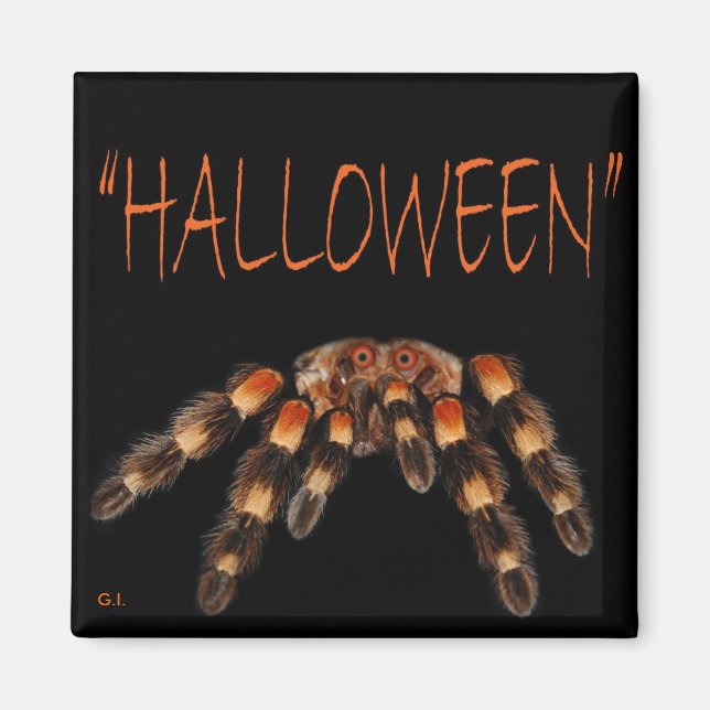 Halloween Spider Magnet (Vorne)