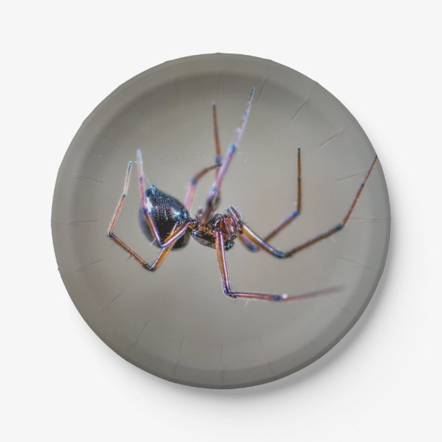 Halloween Spider Paper Plate Pappteller (Vorderseite)