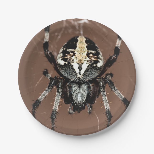 Halloween Spider Paper Plate Pappteller (Vorderseite)