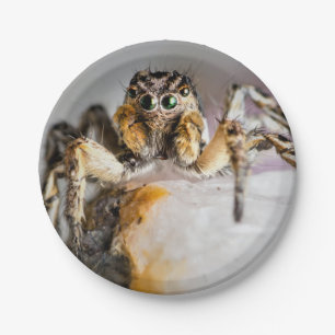 Halloween-Spinne aus Papierplatte Pappteller