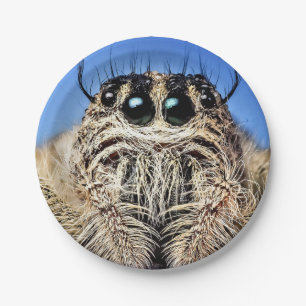 Halloween-Spinne aus Papierplatte Pappteller
