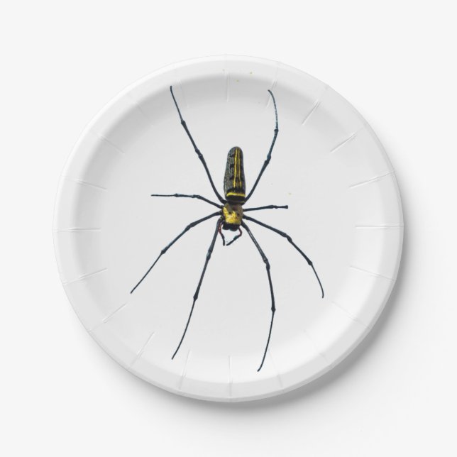 Halloween-Spinne-Papierteller Pappteller (Vorderseite)