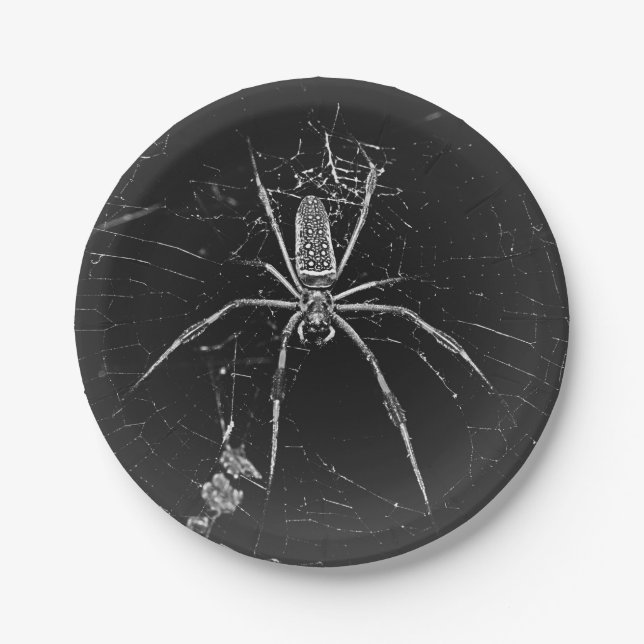 Halloween-Spinne-Papierteller Pappteller (Vorderseite)