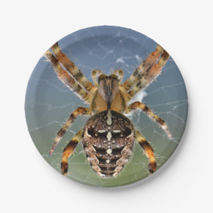 Halloween-Spinne-Papierteller Pappteller