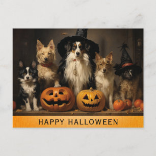 Halloween Süßer Hund Hexe Kürbis Postkarte