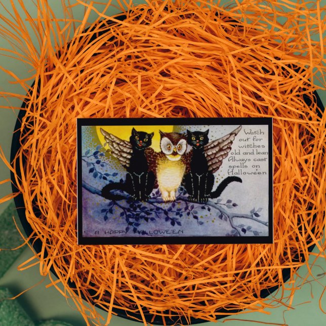 Halloween und Black Cats Karte (Von Creator hochgeladen)