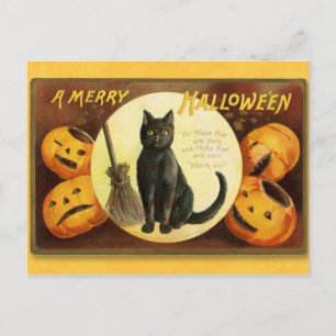 Halloween Vintage Katze und Kürbisse Postkarte