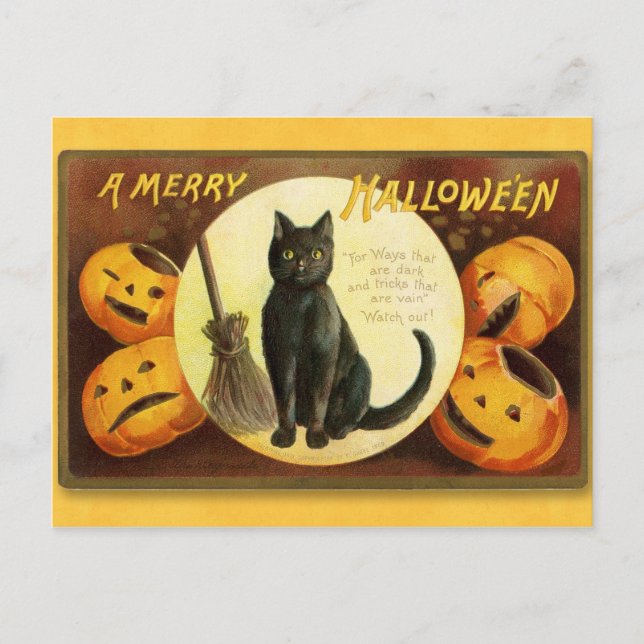 Halloween Vintage Katze und Pumpkins Postcard Postkarte (Vorderseite)
