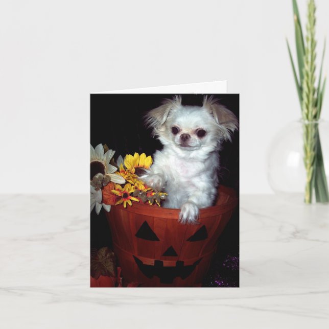 Halloween-Welpen-Karte Karte (Vorderseite)