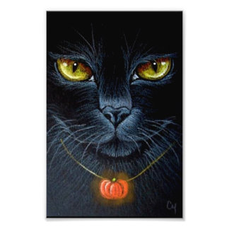 HALLOWEWEE SCHWARZE KATZE MIT PUMPKANHÄNGER 4" X 6 FOTODRUCK
