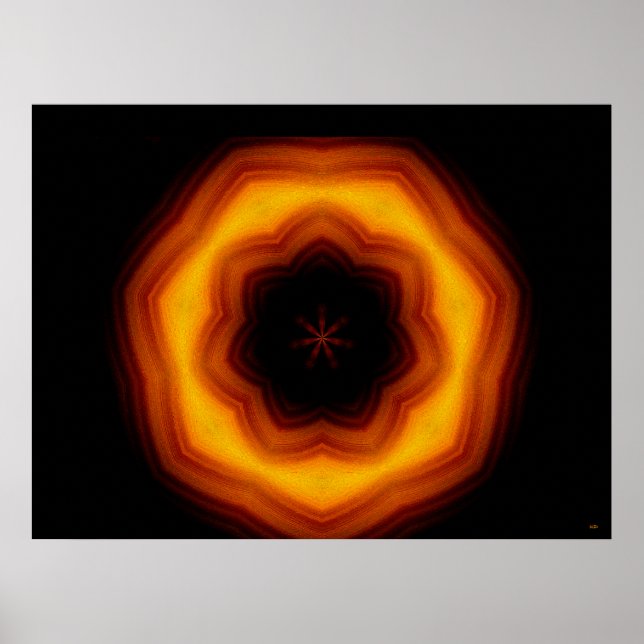Halo-Blumen-Plakat Poster (Vorne)