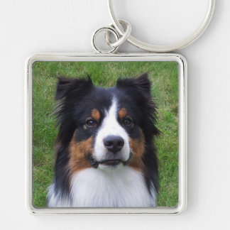 HALO der australische Hund Schlüsselanhänger